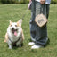 Thickened Folding Pet Bowls Outdoor Pet Double Bowls Tableware Travel Dog Feeder Bowls Pet Supplies Portable Dog Bowls