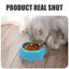 Candy Color Plastic Pet Round Bowl Cat And Dog Food Bowl Pet Small Cat And Dog Tableware Wholesale Easy To Clean Colorful