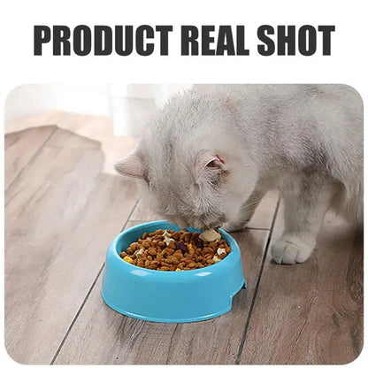 Candy Color Plastic Pet Round Bowl Cat And Dog Food Bowl Pet Small Cat And Dog Tableware Wholesale Easy To Clean Colorful