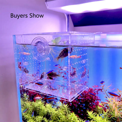 HighTransparent Acrylic Aquarium Fish Breeding Feeding Isolation Box Fish Aquarium Breeder Hatching Incubator Tank  Accessories