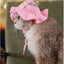 Luxury Design Pet Hat for Small Dogs Knitting Animal Shaped Cosplay Puppy Head Wear Caps New Year Warm Lace Up Cat Accessories