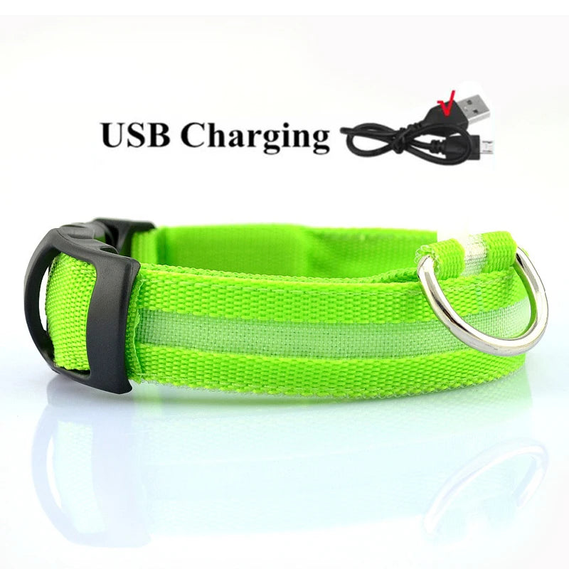 LED Dog Collar USB Rechargeable - Bright & High Visibility Lighted Glow Collar for Small Medium Large Breeds Pet Night Walking