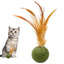 Catnip Ball Feather Cat Toy Ball Feather Cat Tooth Cleaning Cat Toy Catnip Ball Interactive Chew Catnip Pet Supplies