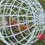 Ball Cage For Chickens Movable 3 Pieces Chicken Orb Ball Cage Pet Safety Chicken Cage Ball-Shaped Chicken Hamster Ball Cage