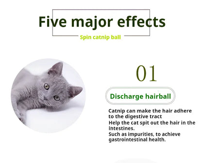 Natural Catnip Cats Wall Stick-on Ball Toy Scratchers Treats Healthy Natural Removes Balls to Promote Digestion Cat Grass Snack