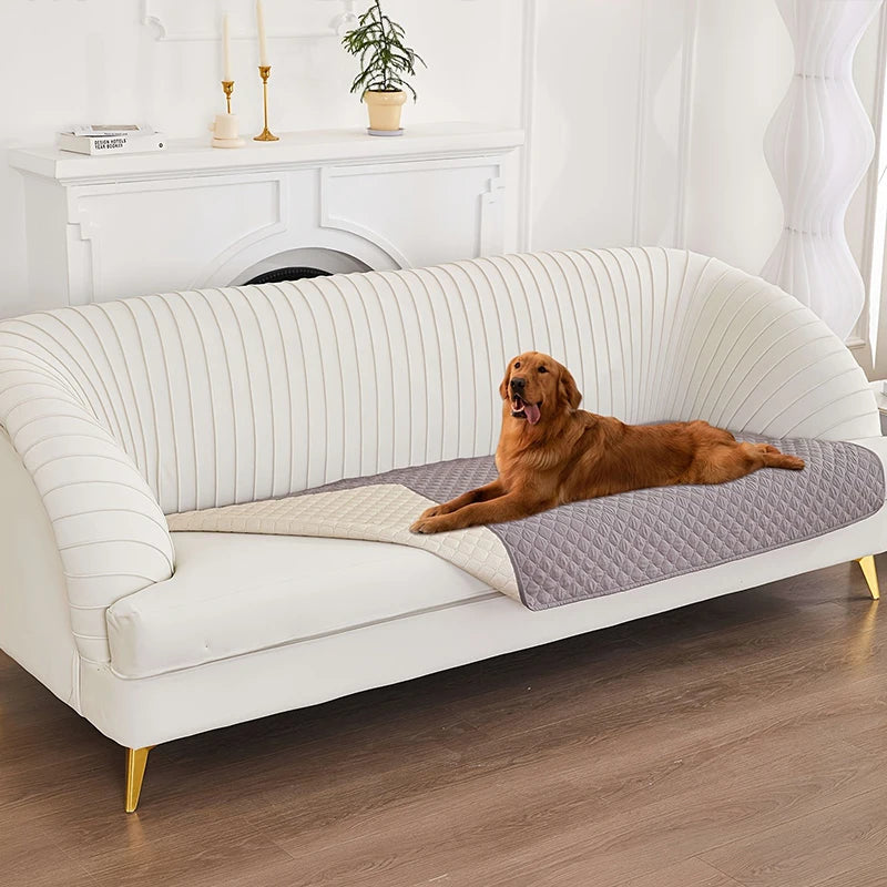 Dog Bed Medium Pets Dogs Big Cushion Pet Products Baskets Mat Sofa Small Puppy Basket Cats Supplies Fluffy Cushions Accessories