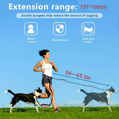 Dog Leash Hands-free With a Waist Bag  Hold Items Harness for Small Breeds Dogs Choker Collar Personalized Nylon Dog Accessories