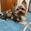 Dogs Raincoat Adjustable Puppy Dog Raincoat Waterproof 4 Legs Raincoat for Small Dogs Outdoor Pet Poncho with Reflective Strap