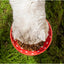 Mushroom Cat Bowl Cute Polka Dot Safe Ceramic Elevated Cat Feeder for Cats and Dogs Drinking Water Bowl Cat Feede Pet Supplies