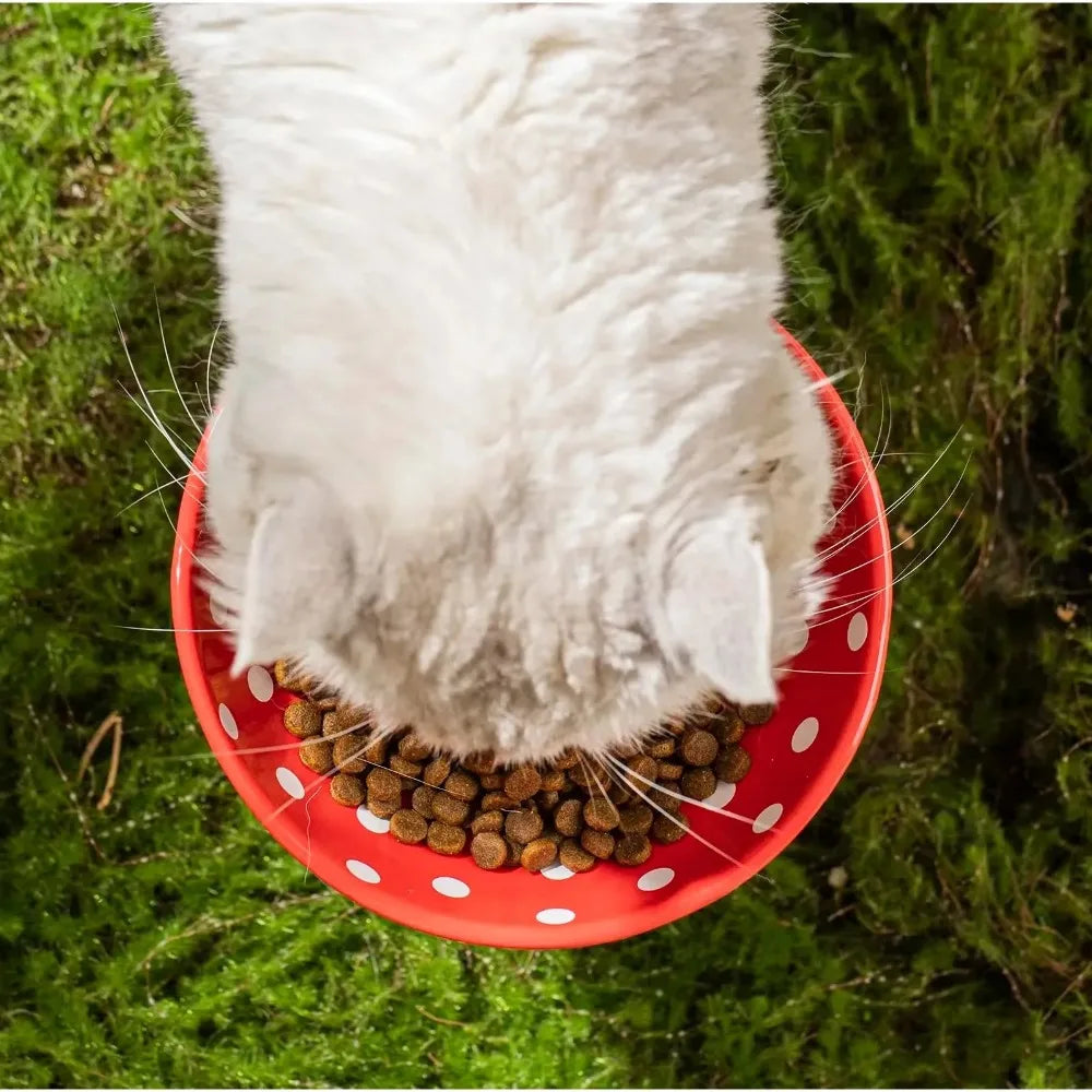 Mushroom Cat Bowl Cute Polka Dot Safe Ceramic Elevated Cat Feeder for Cats and Dogs Drinking Water Bowl Cat Feede Pet Supplies