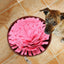 Pet Dog Sniffing Mat Anti-Slip Pet Foraging Mat Interactive Sniff Mat Flower-Shaped Feeding Puzzle Toy Sniffing Interactive