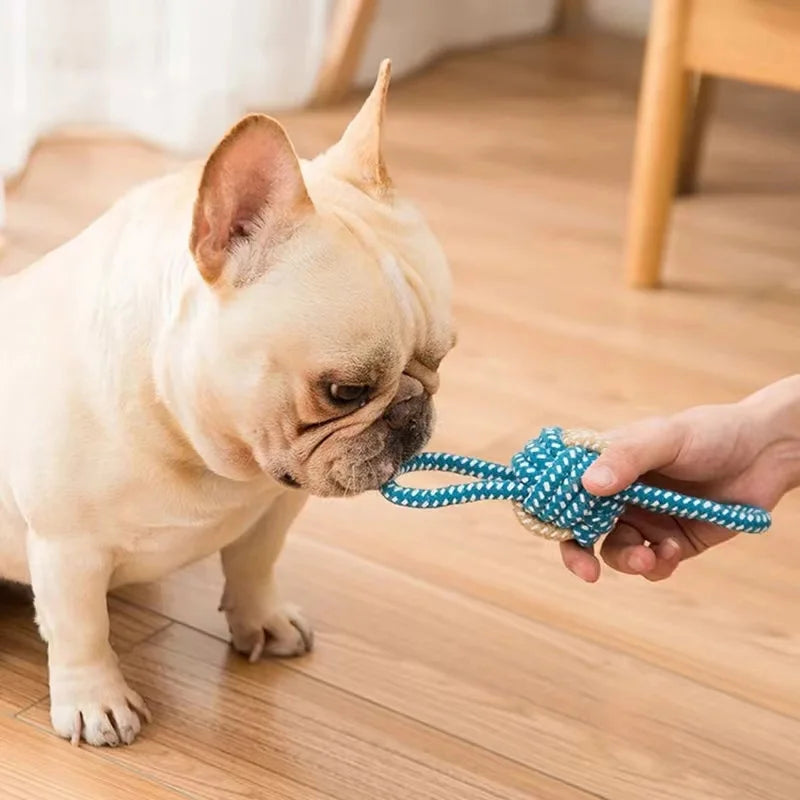 Pet Dog Toys for Large Small Dogs Toy InteractiveCotton Rope Mini Dog Toys Ball for DogsAccessories Toothbrush Chew Puppy Toy