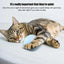 Cat Interactive Ball Intelligent Sensing Rolling Ball Toys Automatic Rolling Magic Ball Toy Rotating Ball Cat Game Accessories