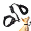 Reflective Dog Collar Adjustable Neck Collars With Rope Kit For Pet Puppy Weatherproof Dog Collar Padded Suitable Puppy Collar