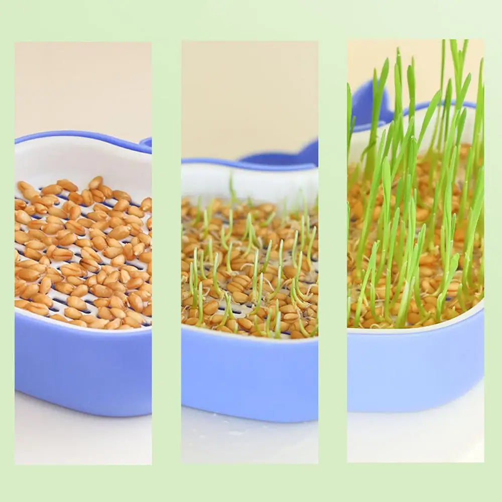 Cat Grass Growing Kit Whale Shape Cat Grass Pot Layered Design Soillness Hydroponic Sprout Tray Hollow Planting Box for Cats