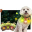 Dog Night Light 3 Flashlight Dog Cat Collar Glowing Pendant Night Safety Pet Leads Necklace Luminoues Bright Decoration Collars