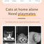 Smart Running Mouse Cat Toy Interactive Random Moving Electric Cat Teaser Toys Simulation Mice Kitten Self-Playing Plush Toys