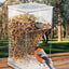 Bird Feeders Parakeet Feeders For Bird Cage Automatic Parrot Feeder Drinker Clear Acrylic Splash-Proof Bird Feeder