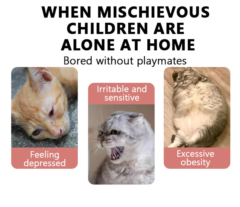 Pet Durable Colorful Feather Mimi Favorite Fur Mouse Tumbler Kitten Cat Toys Play Balls For Catch Cats Supplies 2PCS