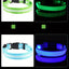 Nylon LED Night Safety Flashing Glow In The Dark Dog Leash Dogs Luminous Fluorescent Pet Dog Collar
