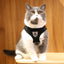 Breathable Cat Harness with Leash Anti-Escape Cat Vest Harness Collar for Kitten Pet Accessories Adjustable Puppy Harness Leads