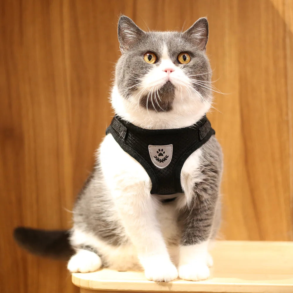 Breathable Cat Harness with Leash Anti-Escape Cat Vest Harness Collar for Kitten Pet Accessories Adjustable Puppy Harness Leads