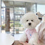 Dog Polo Shirts Cotton Solid Summer Dog Vest Puppy Clothes for Small Dog Pet T Shirt Chihuahua Bichon Dog Hoodies Cat Clothing