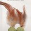 Pet Cat Mint Toy Edible Cat Mint Ball Cat Mint Cat Family Chase Game Toy Product Cleaning Teeth Cat Mint Ball