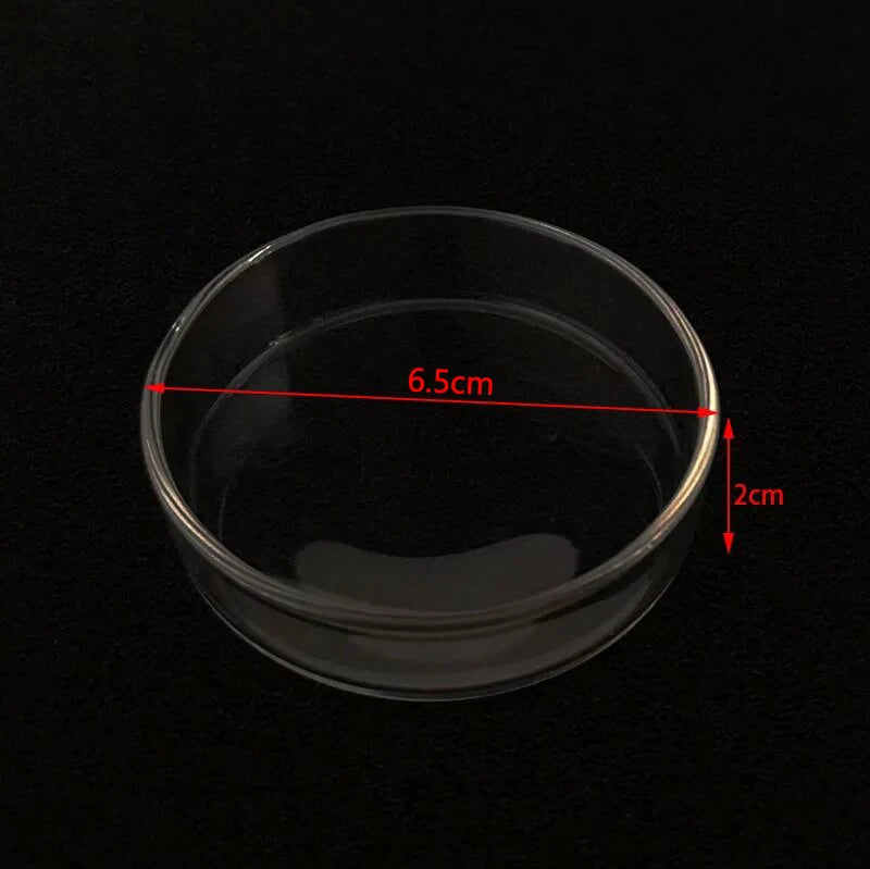 Glass Aquarium Feeder Tube Dish Transparent Fish Tank Shrimp Snail Food Feeder Bowl Aquarium Feeding Accessories Shrimp Feeders