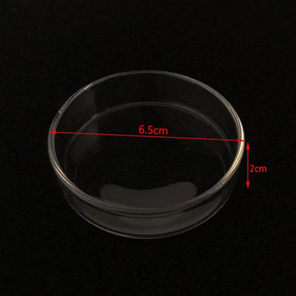 Glass Aquarium Feeder Tube Dish Transparent Fish Tank Shrimp Snail Food Feeder Bowl Aquarium Feeding Accessories Shrimp Feeders