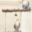 Pepper Wood Parrot Stand Pole Double Layer Toy for Bird Tiger Skin Claw Grinding Beak Grinding Stand Pole Bird Cage Accessories