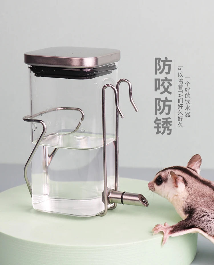 Fine Needle Silent Totoro Striker Kettle Pet Parrot Hamster Drinking Kettle Flower Branch Squirrel Bite Proof Glass Feeder