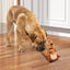 Dog Vocal Interactive Toy Velvet Squirrel Shaped Foraging Instinct Training Puppy Toys Interactive Dog Puzzle Toys With Sound