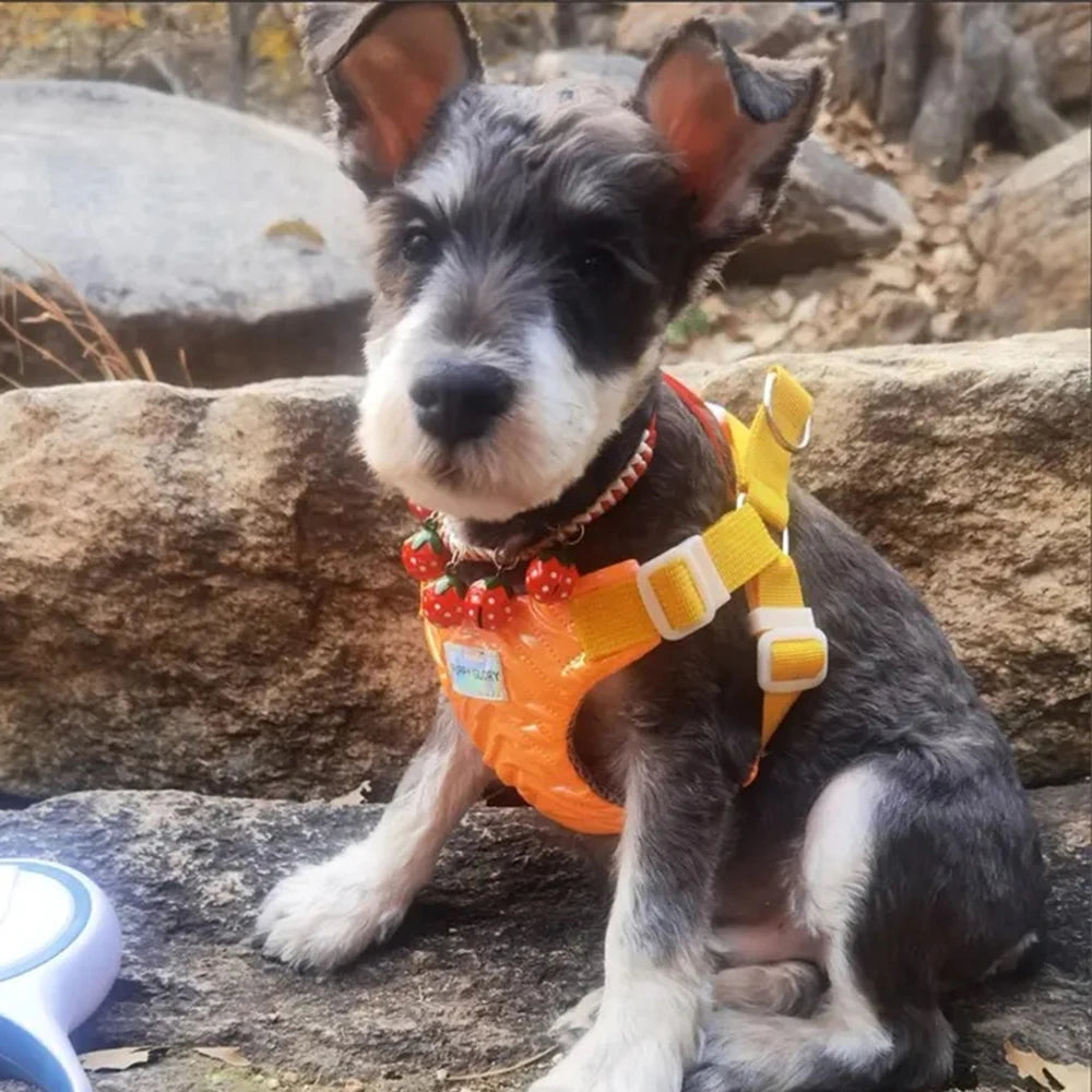 No Pull Summer Pet Harness Vest for Small Medium Dogs Waterproof Puppy Dog Harnesses French Bulldog Poodle mascotas Accessories