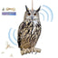 Farm Protector Bird Scarer Owl Scarecrow Scarer Pendant Garden Protector Pendant Waterproof With Bell Fake Bird Scarecrow Bird