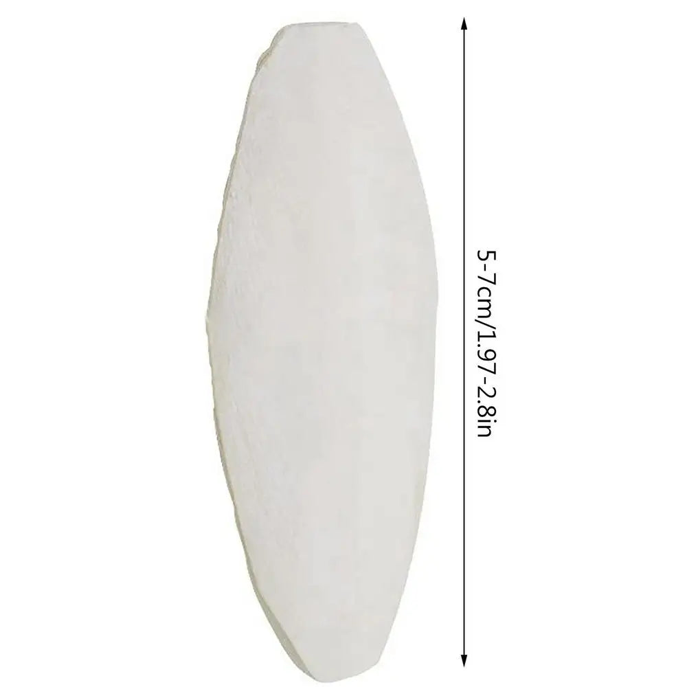 10pcs Cuttlefish Bone For Birds Natural Cuttlefish Bone Parrot Chewing Cuttle Bone Health Supplies Cuttlefish Bone Bird Food