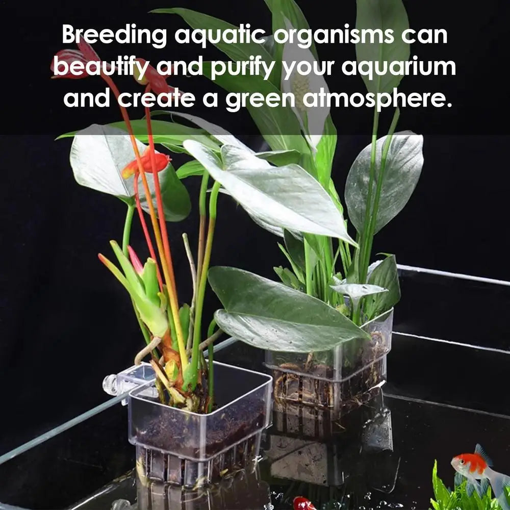 Aquarium Plant Basket Transparent Aquarium Decorations Plants Pot Aquatic Plants Holder Aquatic Plant Cup Fish Tank Planter