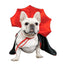 Cat Halloween Costume Pet Cloak Red Black Kitten Cape Pet Puppy Apparel Halloween Party Costume for Small Dogs Cats Accessories