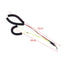 Dog Grooming Loop Noose Wash Choker for Pet Bathing and Grooming Durable Steel No Sit Haunch Holder Grooming Restraint for Dogs
