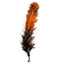 11pcs Replacement Cat Feather Toy Set Feather Replacement Head Retractable Cat Stick Cat Products