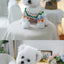 Fair Isle Colorized Pet Dog Sweater Warm Winter Wool Knitting Sweatshirt for Puppy New Year Outdoor Unisex Overalls Pet Clothing
