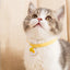 Pet Supplies Accessories for Cats Adjustable Cat Necklace for Kitten Puppy Small Dog Cat Breakaway Bell Collar with Cute Pendant