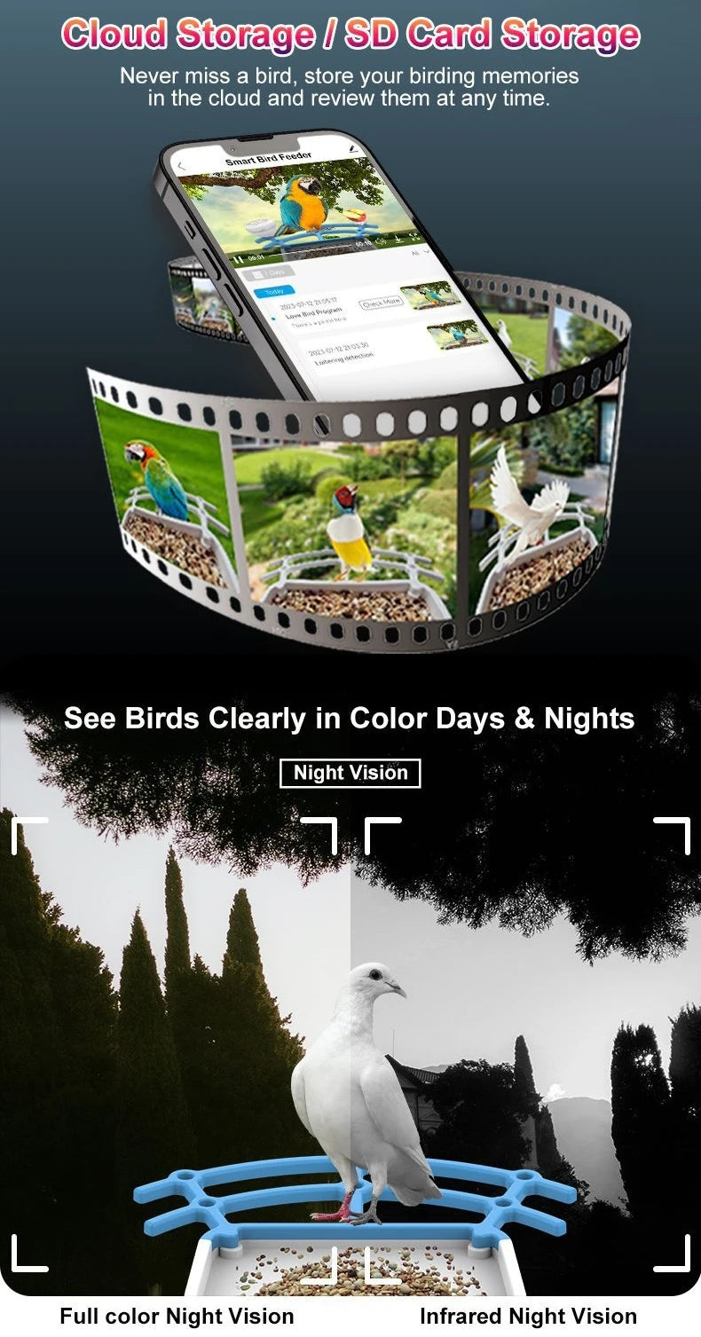 Bird Smart Feeder with Camera 1080P Solar Low Power Night Vision IP66 Waterproof 4G or WIFI Connect Real Bird Species Feeder