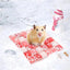 Small Pet Summer Cooling Pad Cool Mat Resin Cooler Beds for Chinchilla Guinea Pig Hamster Accessories High Quality