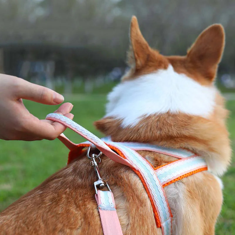 Saddle Style Corgi Puppy Dog Harness and Leash Set Portable Pet Harnesses for Small Medium Dogs mascotas Accessories Supplies