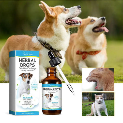 Pet Cough Herbal Drops Cough Soothing Relief Reduce Dog Discomfort Medicin Throat Strengthen Treatment Sneezing Calming Imm V0A3