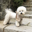 British Style Dog Winter Clothes Pet Clothes for Small Medium Dogs Teddy Chihuahua Puppy Pet Teddy Bib Windbreaker Cloak