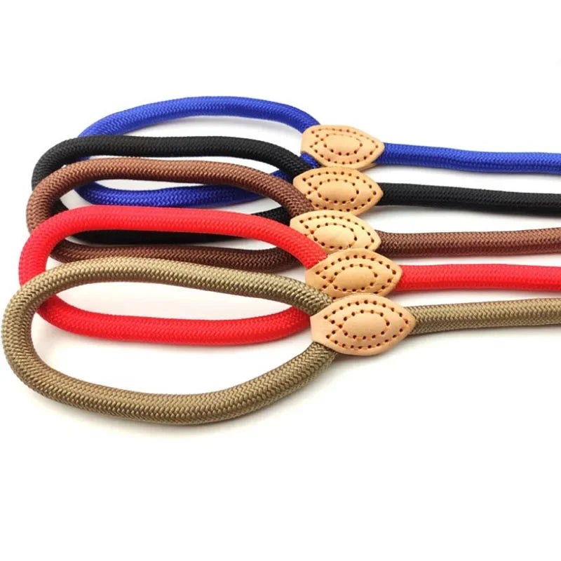 Dog Leash Slip Rope Lead Leash Heavy Duty Braided Rope Adjustable Loop Collar Training Leashes for Small Medium Large Dogs 180cm
