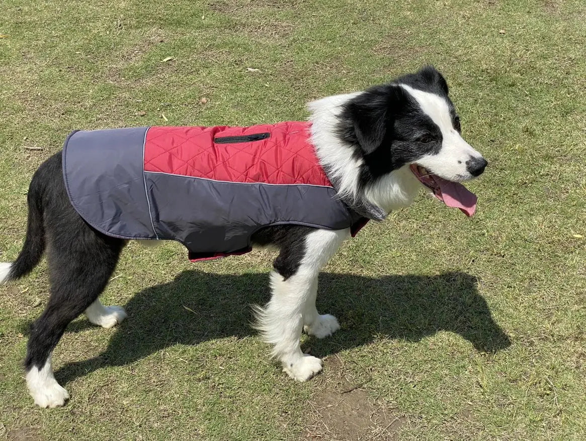 Warm Fleece Collar Dog Coat Jacket Double-Sided Winter Dog Coat Waterproof Puppy Clothing For Small Medium & Large Dogs Supplies