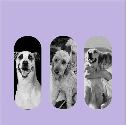 100ML Pet Flea & Tick Spray for Dogs Cats Fresh Fragrance Natural Pet Care Topical Spray